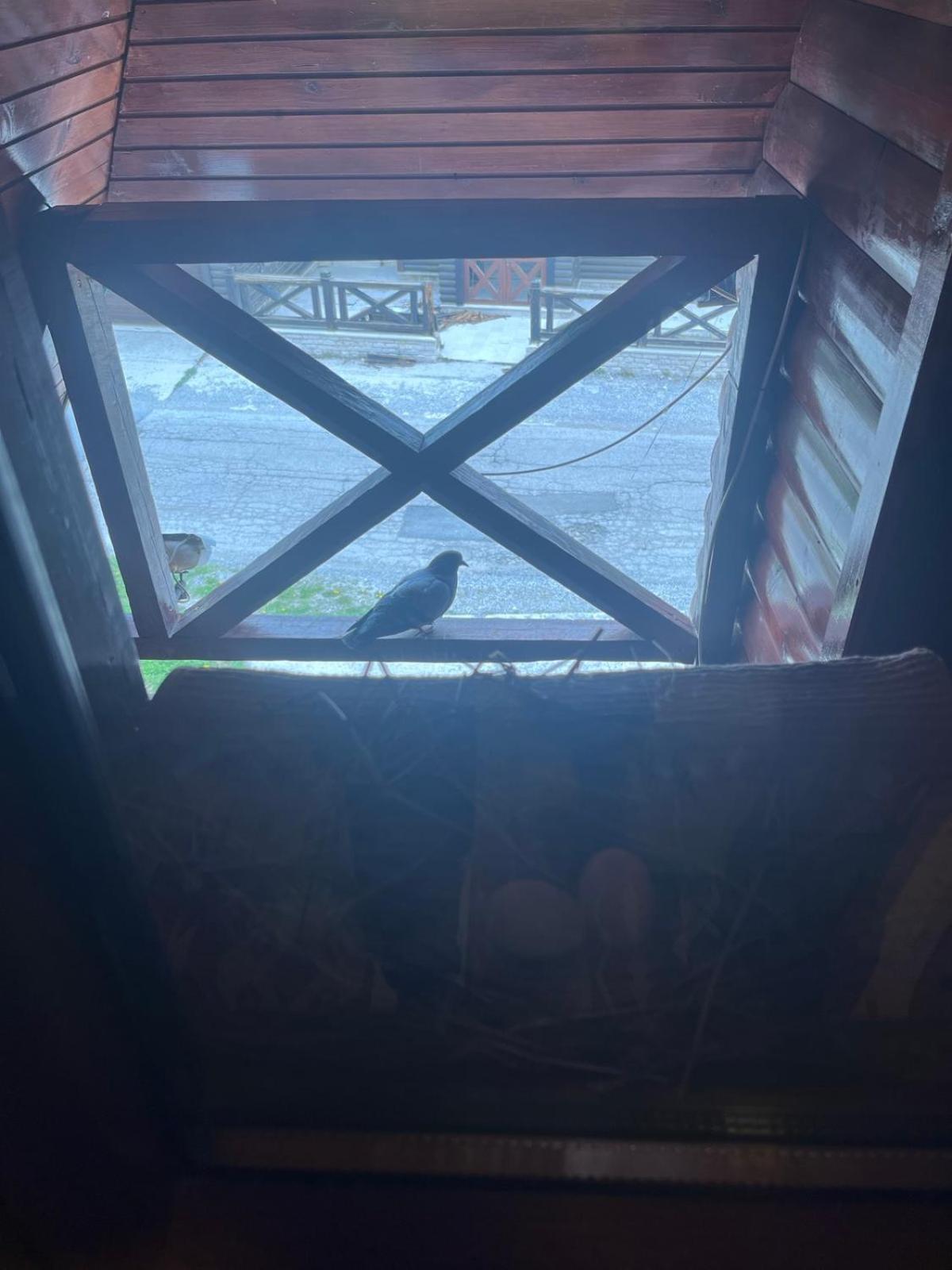 Apartmani "Matija" Žabljak Dış mekan fotoğraf